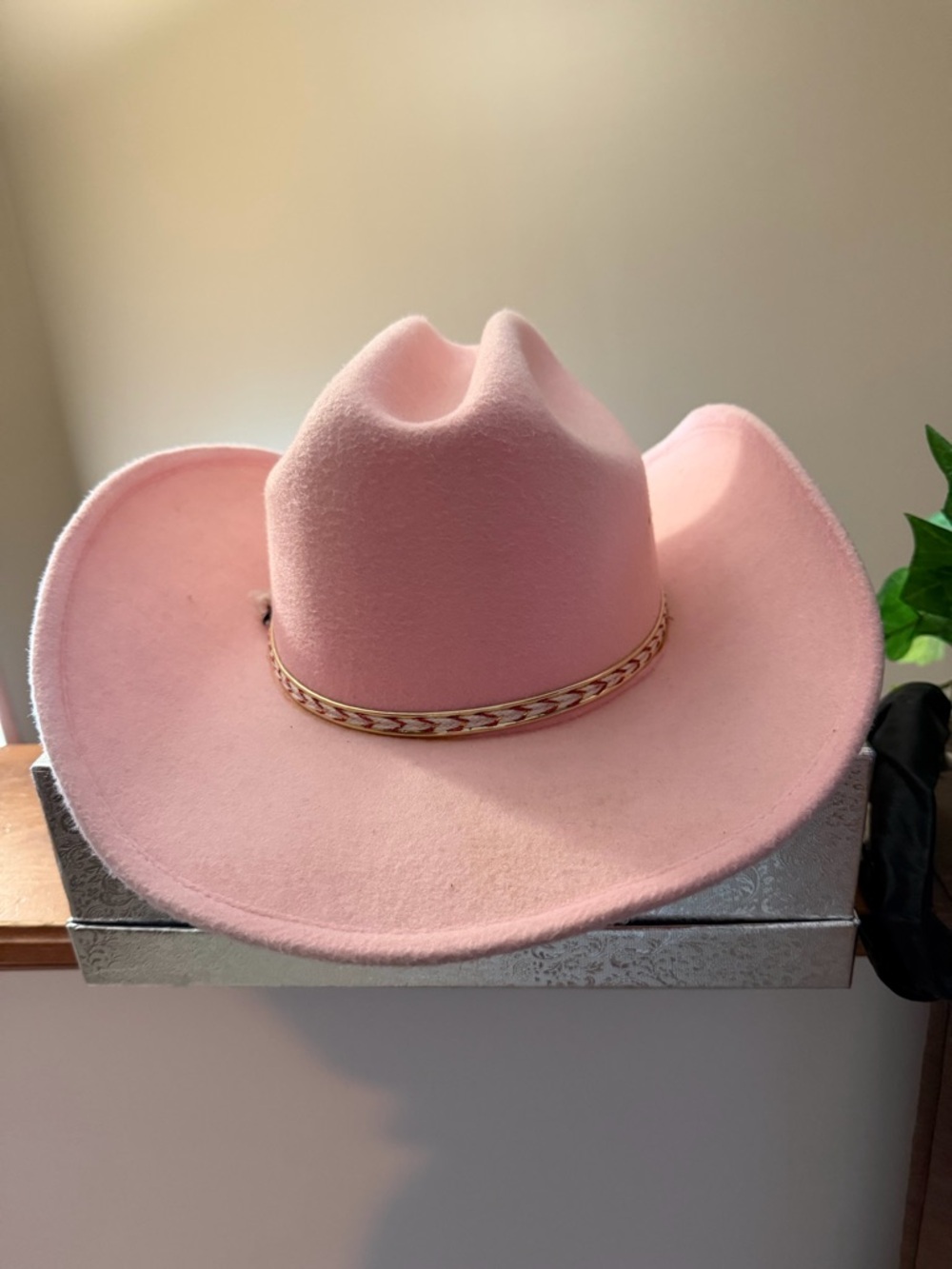 Blush Pink Felt Western Cowboy Hat with Braided Trim